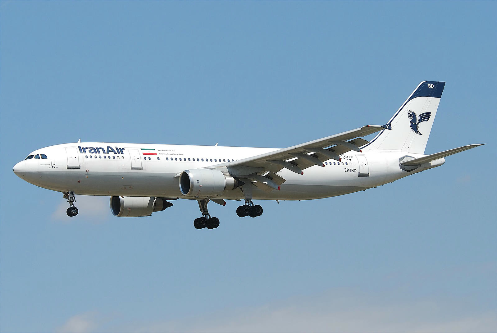 İran Air'e ait bir yolcu uçağı (arşiv)