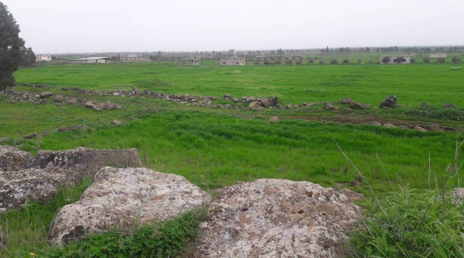 Suriye'nin güneyindeki Dera kırsalı (arşiv)