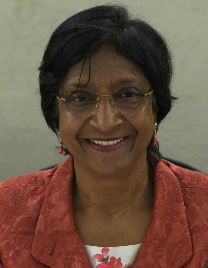 Navi Pillay (arşiv)