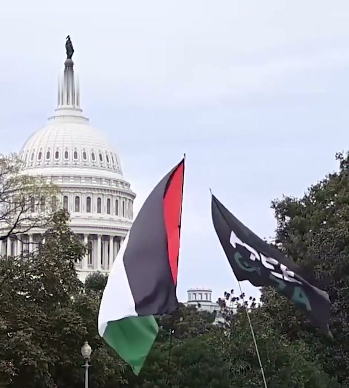 العلم الفلسطيني يرفرف أمام قبة الكابيتول