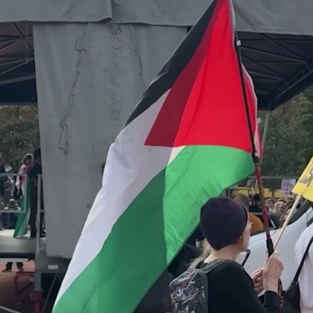 علم فلسطيني يرفرف خلال الاحتجاج في جنيف (3 أكتوبر 2026)