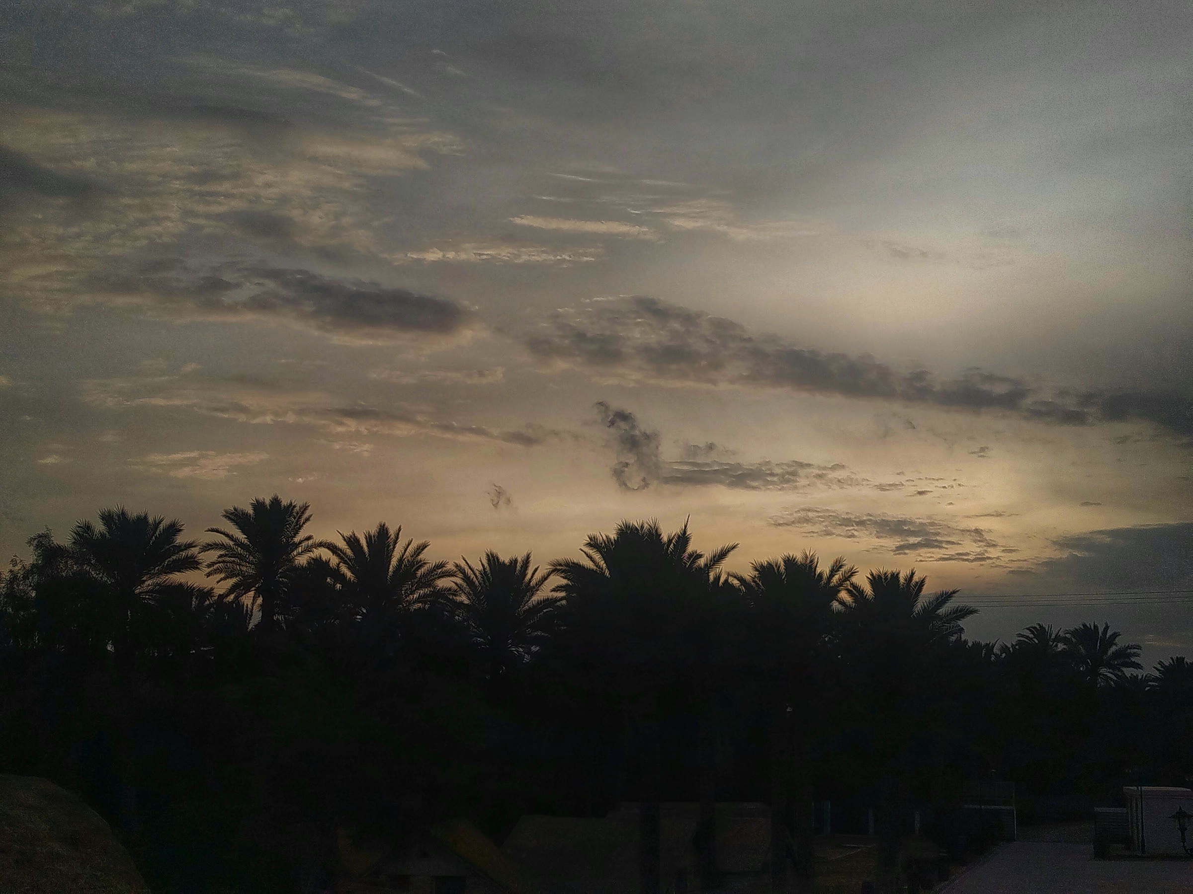 Sunset in the Gabes oasis in southern Tunisia (archive)