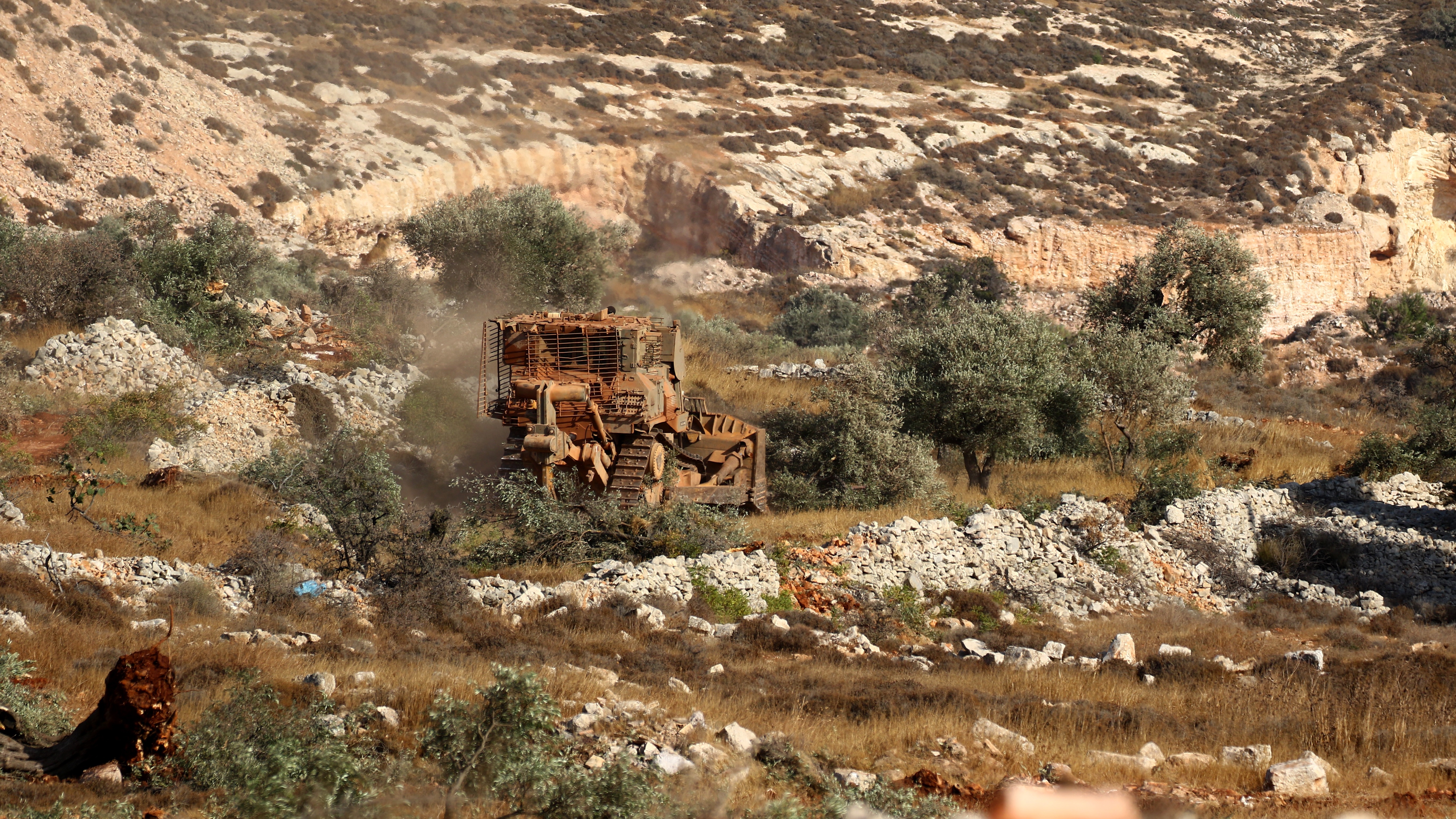 آلية في منطقة لزراعة الزيتون تعود ملكيتها لفلسطينيين في الضفة الغربية