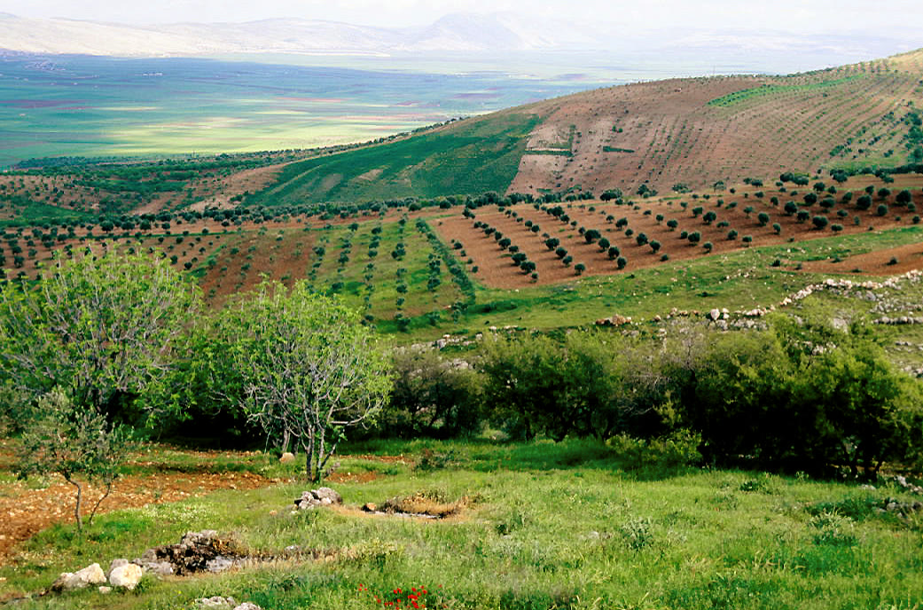 The Idlib countryside (file)