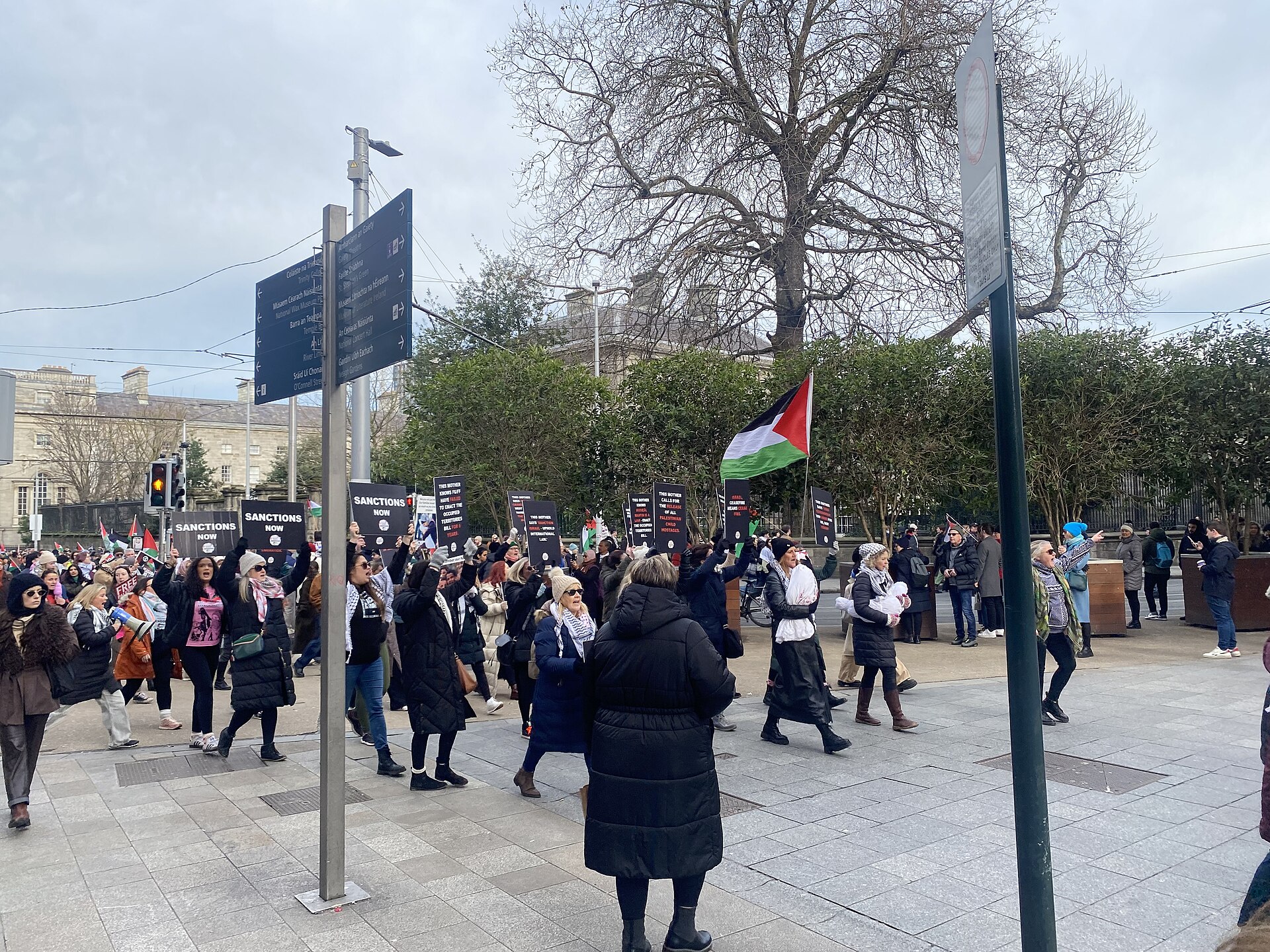مسيرة دعم لفلسطين في دبلن (أرشيف، 2025)