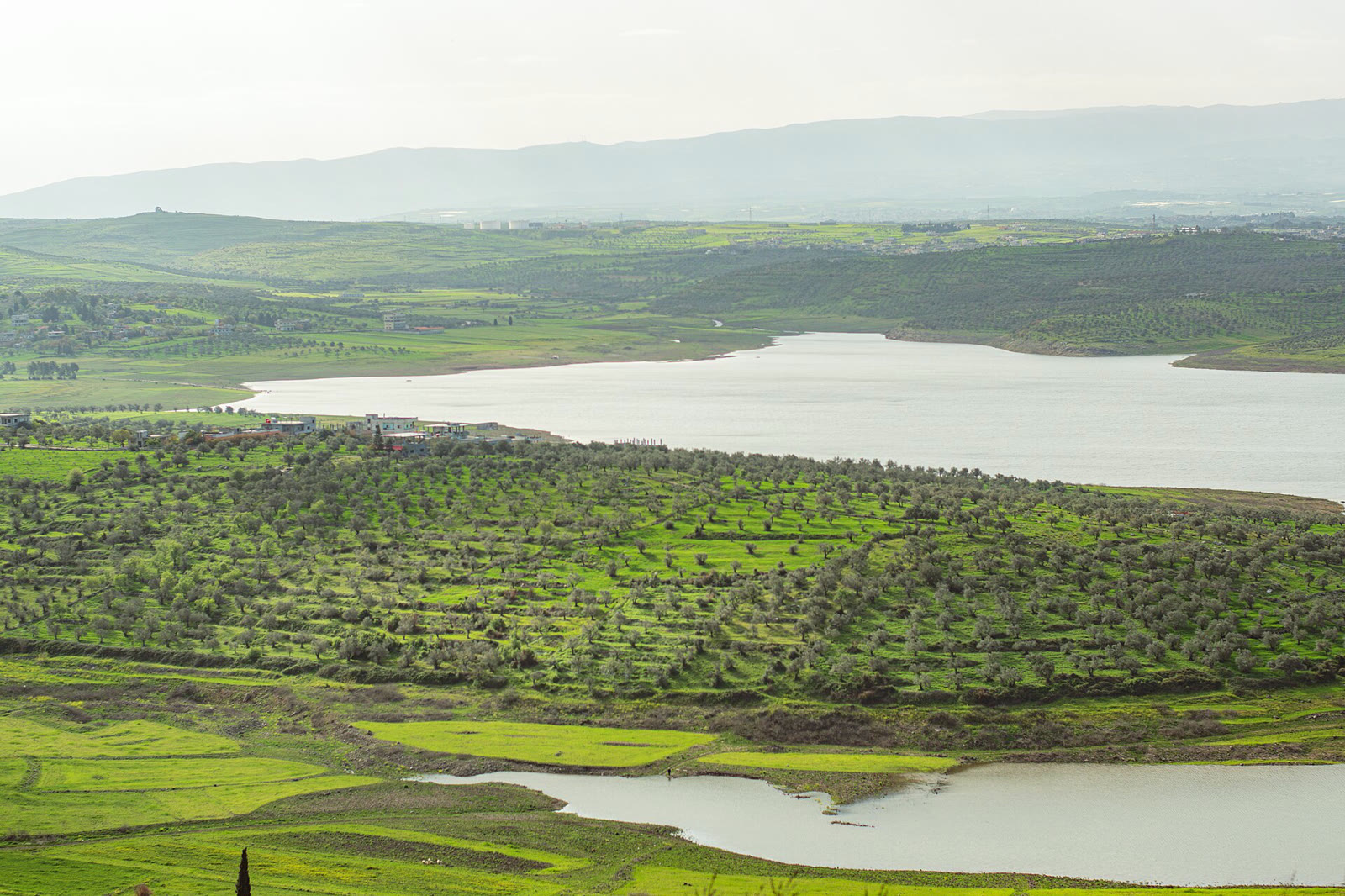 Humus kırsalı (arşiv)