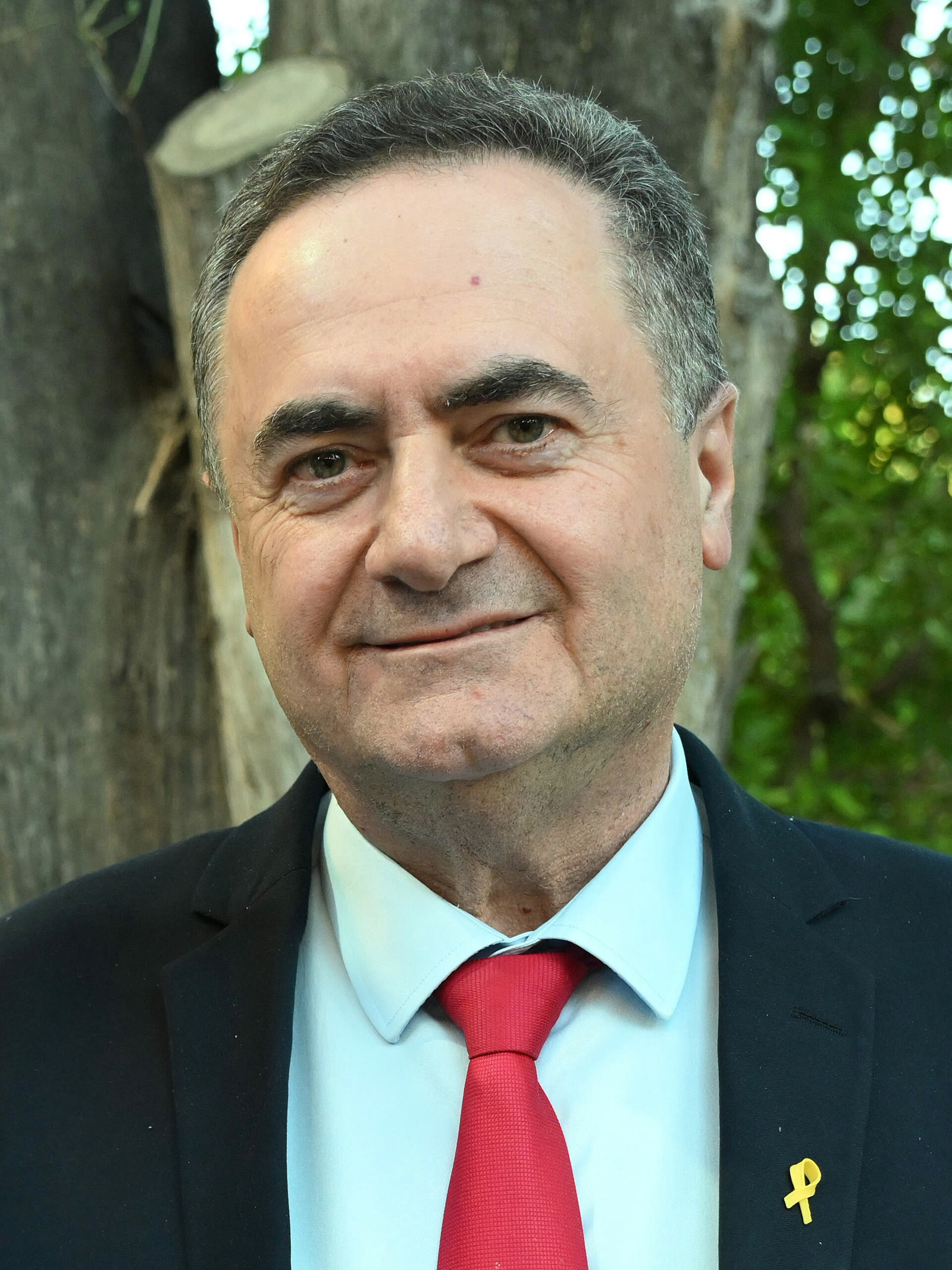 İsrail Savunma Bakanı İsrael Katz (arşiv)
